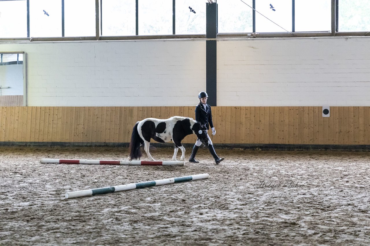 Bild 10 - Pony Akademie Turnier